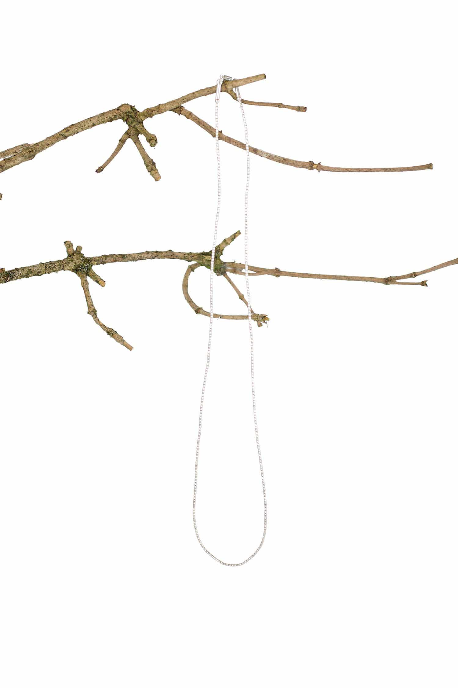 feine silberne Halskette auf Ast aufgehängt vor weißem Hintergrund