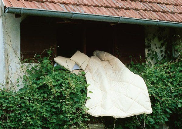bettdecke-fenster-wolle-luft5cf4cfc8493a7 Bettwäsche wird über Fenster mit Efeuranken ausgelüftet