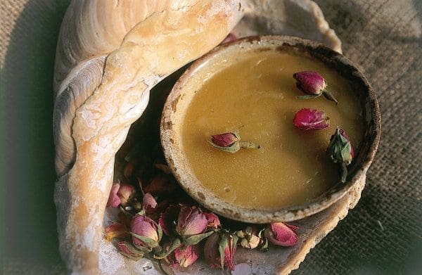 pflegeprodukt-wollfett5cee5d544a264 Finkhof Pflegeprodukte - Wollfett in Schälchen mit pinken Blüten darüber und daneben