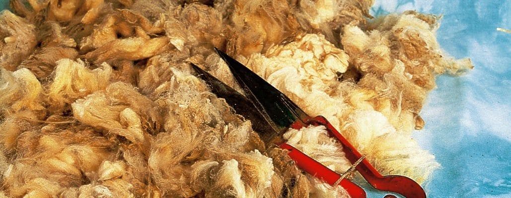 Finkhof Wolle mit Scheren