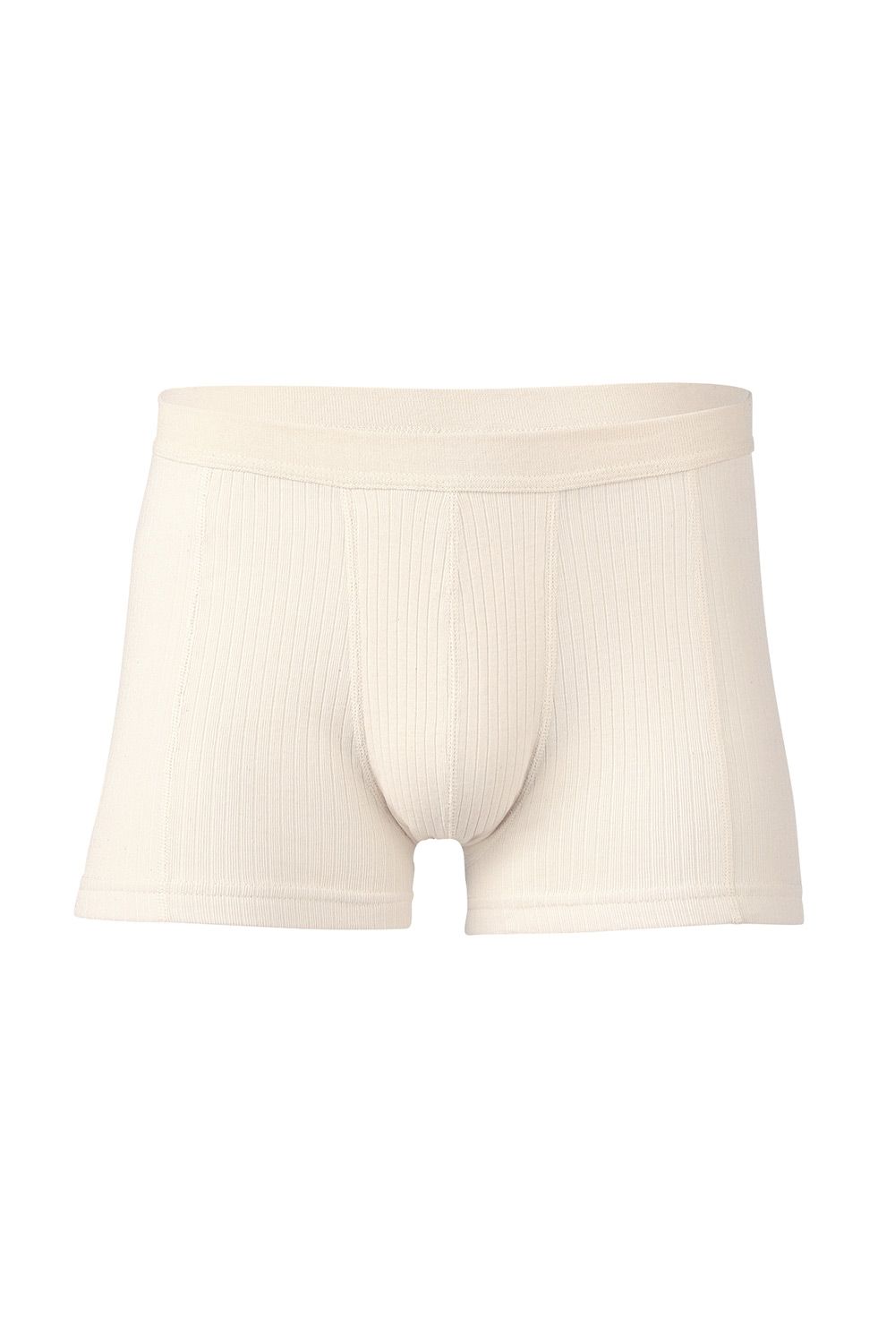 Herren Pants aus bio Baumwolle (kbA) in natur, Freisteller von vorne