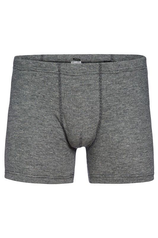 graue Herren Unterhose (Pants) aus bio Baumwolle (kbA), bio Wolle (kbT) und Seide, Freisteller von vorne