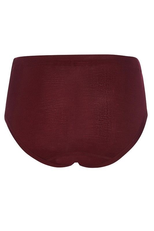 bordeauxroter Slip aus bio Wolle (kbT) und Seide, Freisteller von hinten