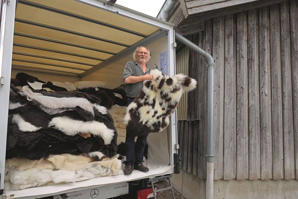 unsere_felle_gerbarten_fell-mike-276 Mann steht im geöffneten LKW mit braunen und weißen Finkhof Fellen