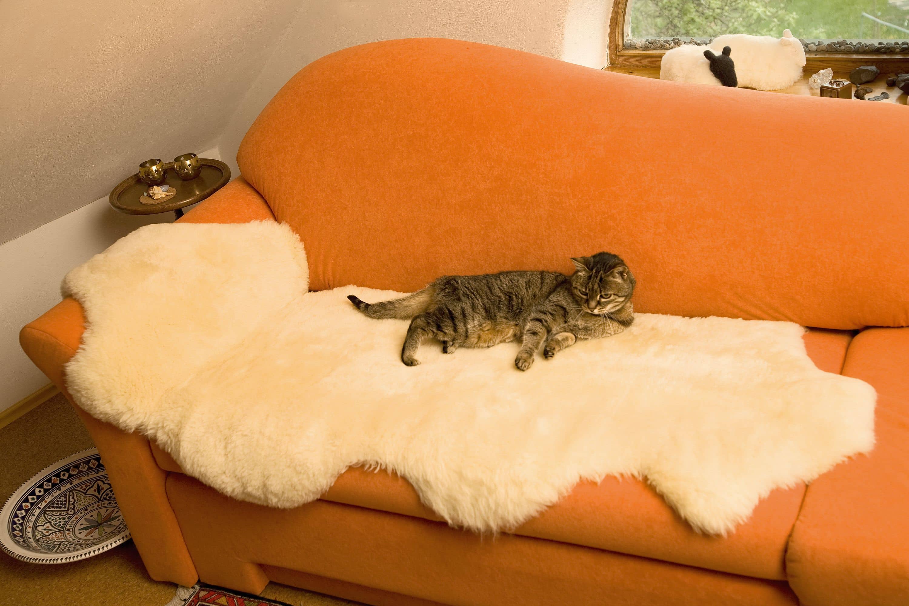 Felldecke_Katze getickerte Katze liegt auf weißer Finkhof Felldecke, die auf einem orangen Sofa liegt