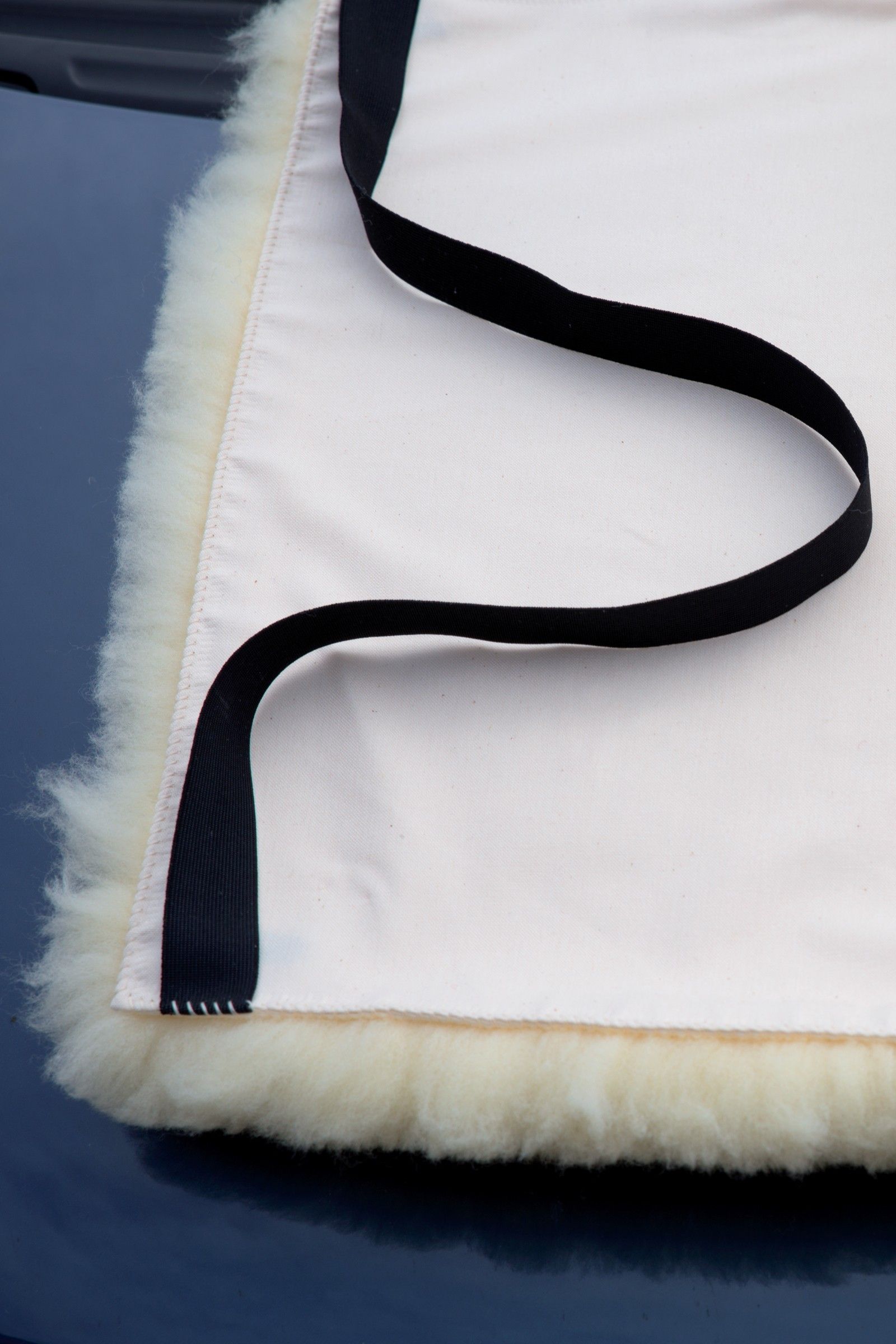 Finkhof Fell mit Bezug