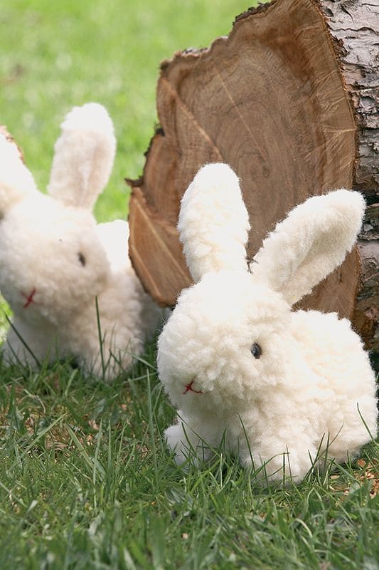 Wolltier Schneehase weiß zwei weiße Schneewollhasen sitzen neben Baumstamm