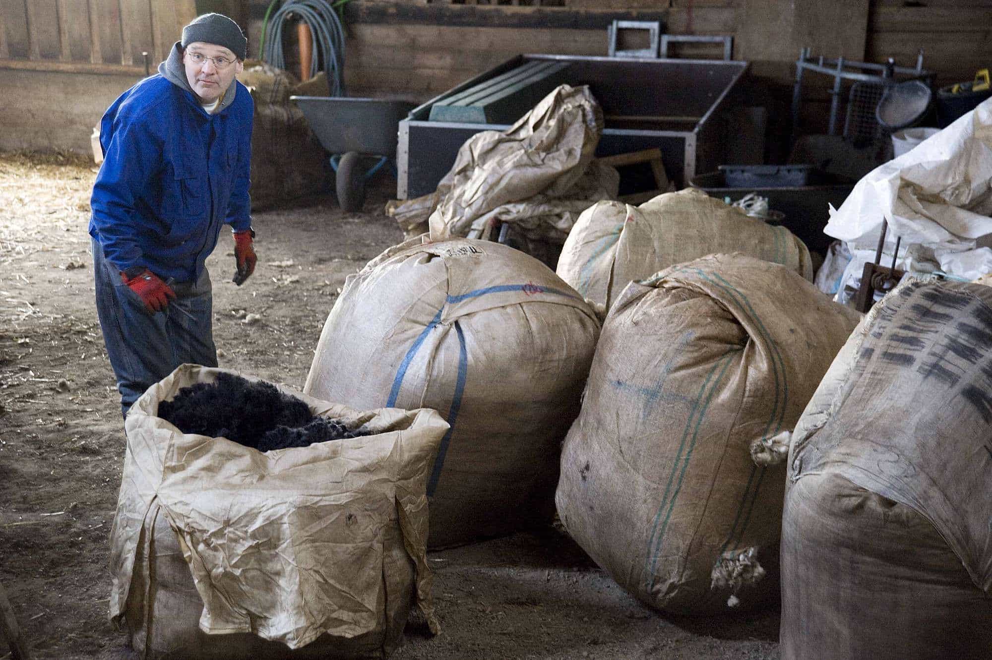 ueber-uns-unsere-wolle-finkhof-schafscheren-web-254 Mann sortiert die geschorene Finkhof Wolle in Säcke