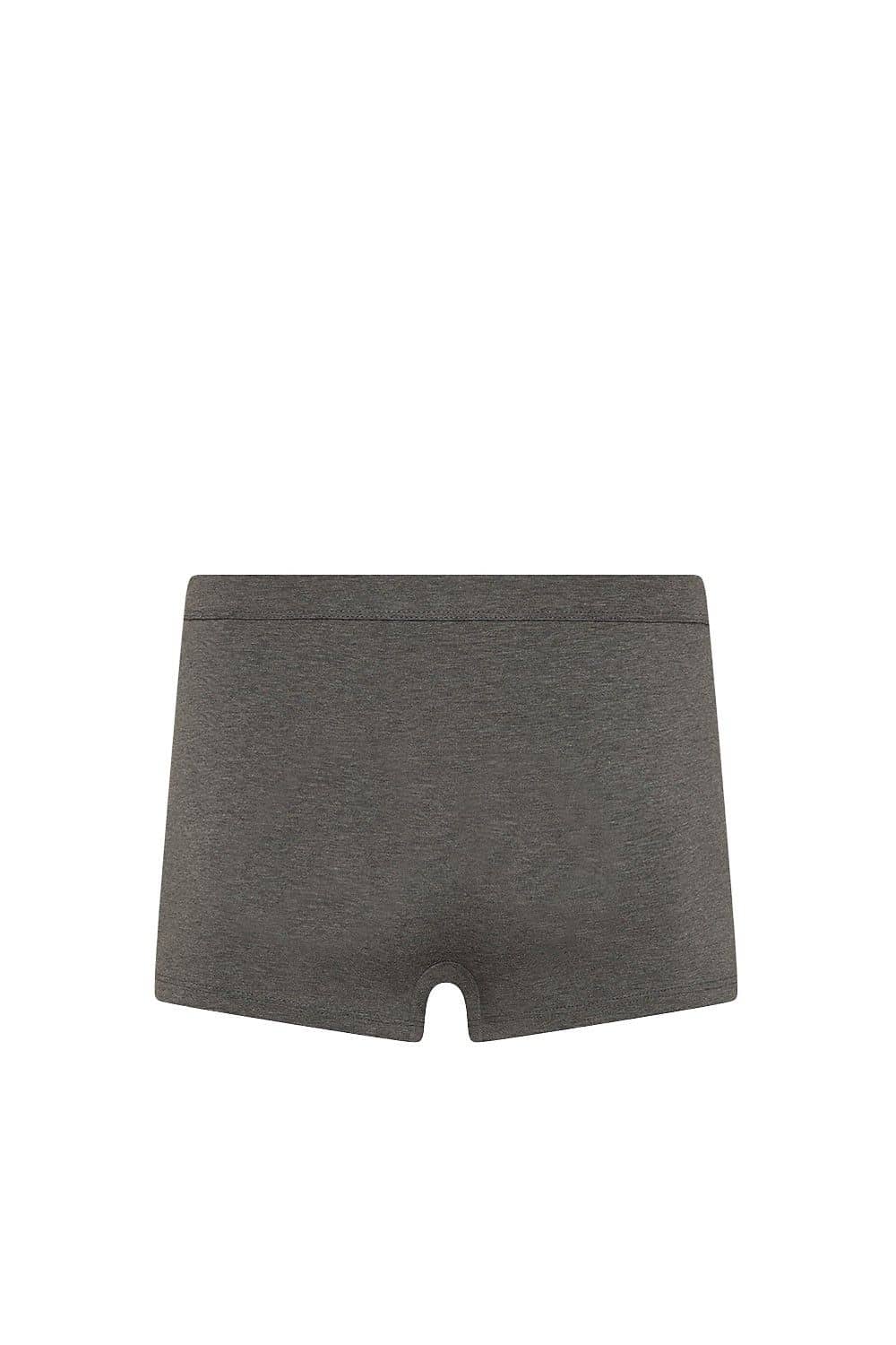 dunkelgraue Herrenpants aus bio Baumwolle (kbA) und Elasthan, Freisteller von hinten