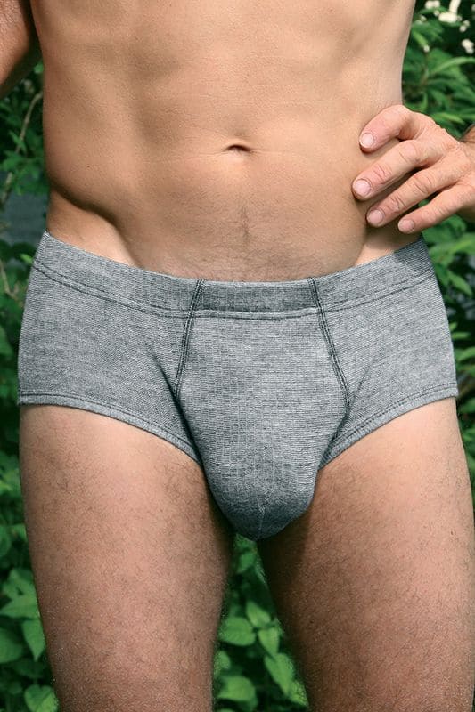 Unterwäsche Mix Slip Herren grauer Unterwäsche Herrenslip bio Baumwolle (kbA), bio Wolle (kbT) und Seide, Tragebild