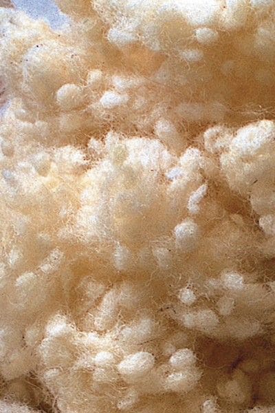 Nahaufnahme von weißen Wollkügelchen aus bio Wolle (kbT) vom Finkhof