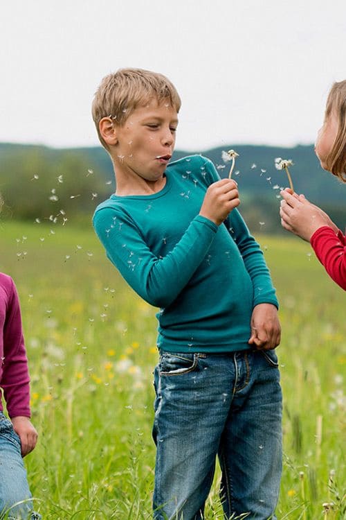 Junge spielt mit anderen Kindern und Pusteblumen und trägt türkises Wolle Seide Langarmshirt aus bio Wolle (kbT)
