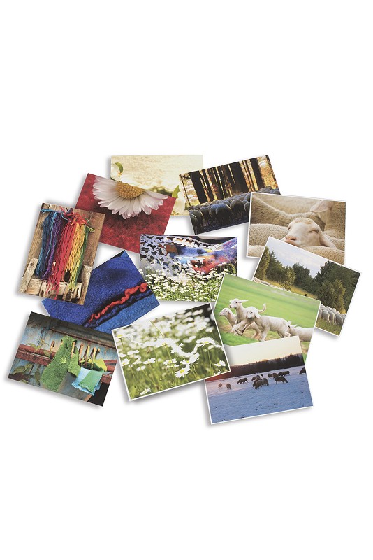 Postkarten-Set (Wolle und Schafe)