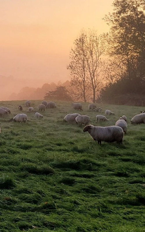 Unsere Masche ist Natur.