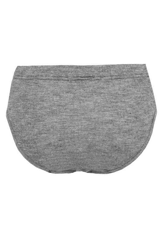 grauer Unterwäsche Damenslip aus bio Baumwolle (kbA), bio Wolle (kbT) und Seide, Freisteller von hinten