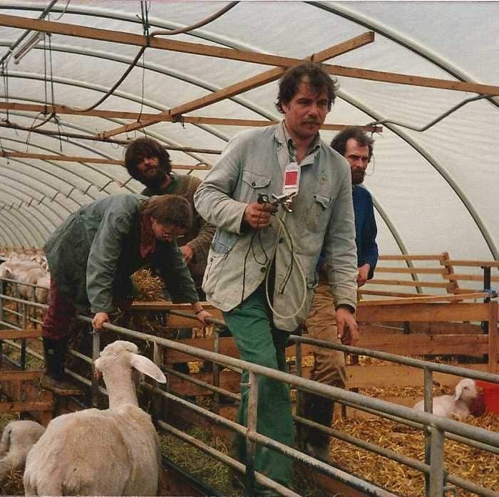 Finkhöfler in Shchafstall