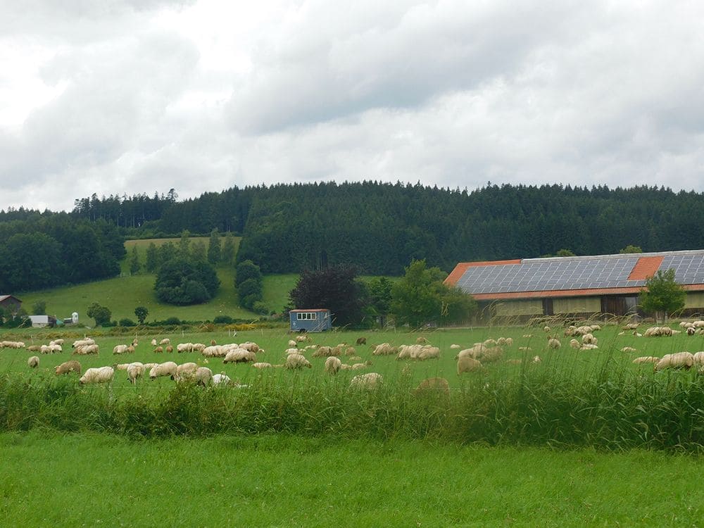 Hofführungen in der Schäferei Falkenhof Panoramabild von der Schäferei Falkenhof