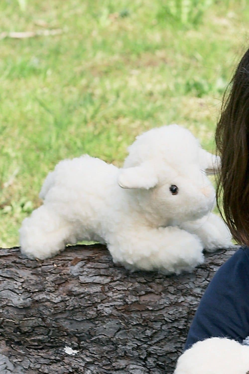 liegendes weißes Lamm als Kuscheltier auf Baumstamm