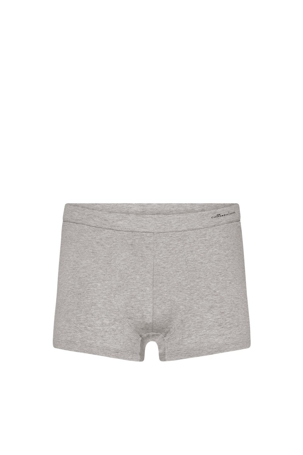 hellgraumelierte Herrenpants aus bio Baumwolle (kbA) und Elasthan, Freisteller von vorne