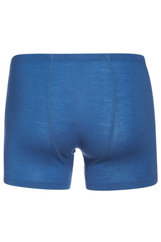 blaue Herren Woll Pants aus bio Wolle (kbT). Freisteller von hinten