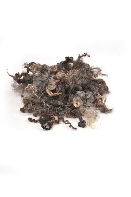 lose graubraune Wolllocken auf weißem Untergrund