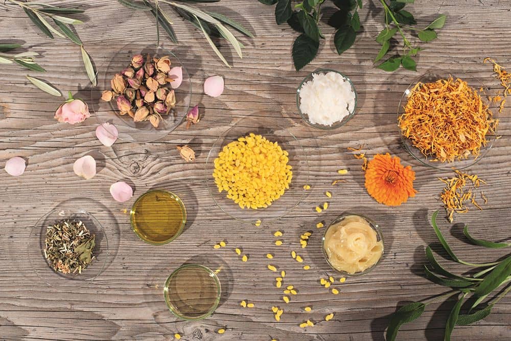 Stimmungsbild mit Inhaltsstoffen der Finkhof Naturkosmetik Produkte, von oben