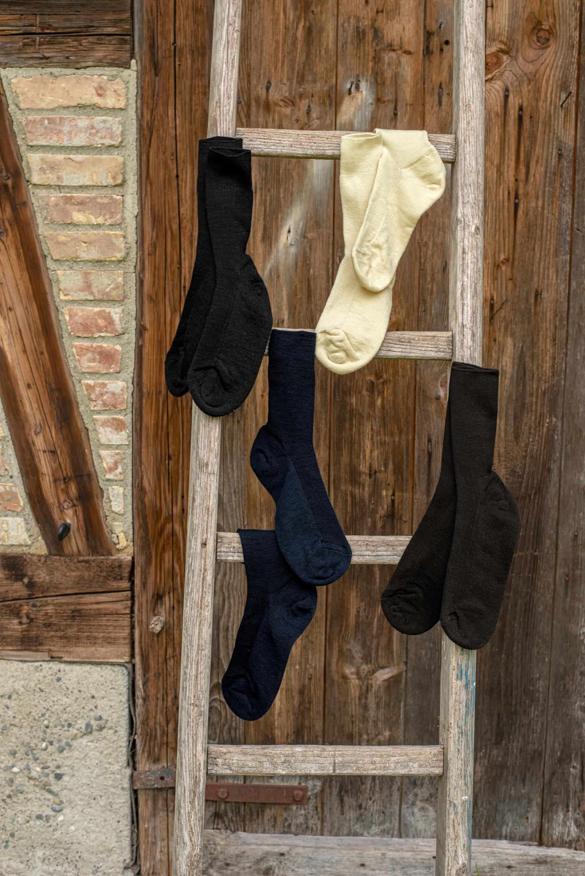 Dünne Wollsocken - Sonderangebot dünne Wollsocken aus bio Wolle (kbT) und bio Baumwolle (kbA) hängen in verschiedenen Farben an einer alten Holzleiter
