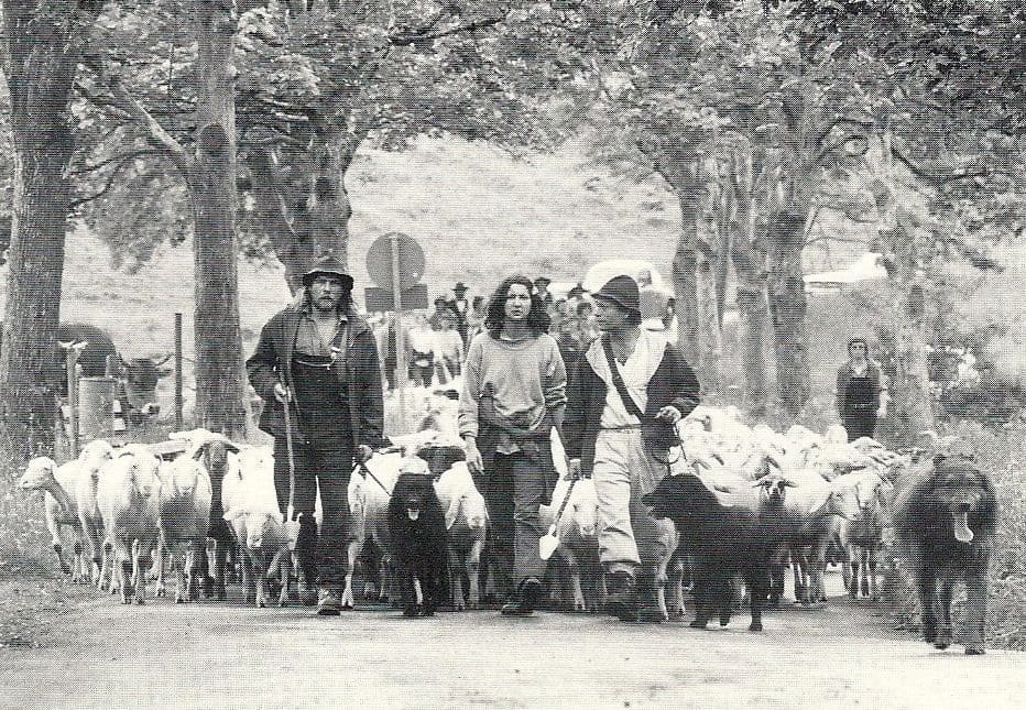 Schwarz weiß Bild von Menschen mit Hunden und Schafherde auf einer Straße