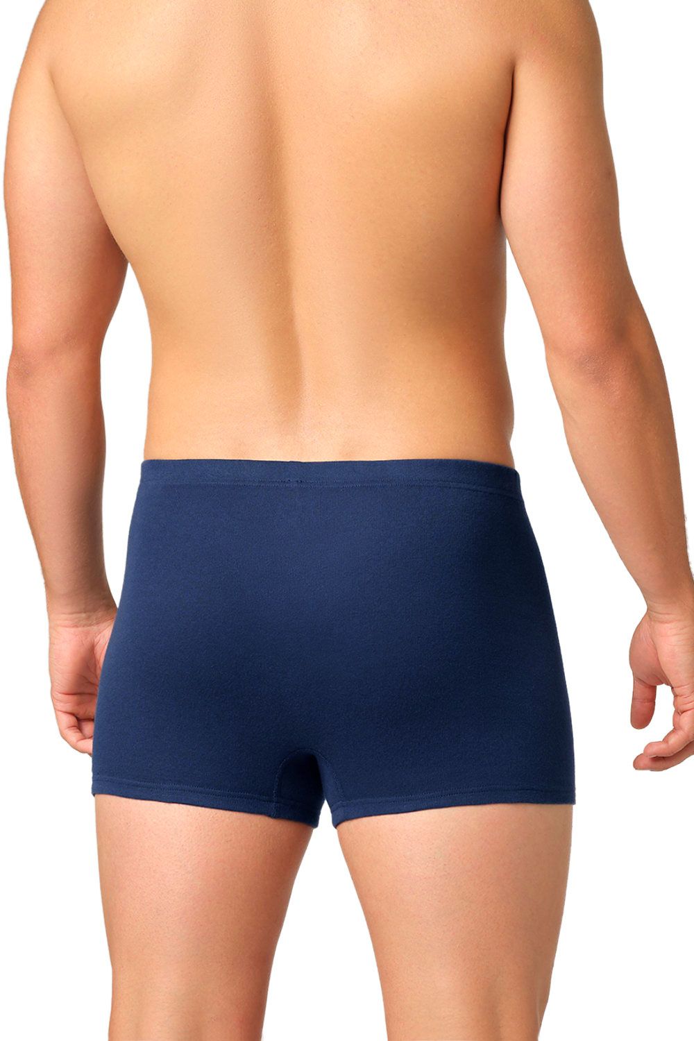 Mann trägt marineblaue Pants aus bio Baumwolle (kbA), von hinten