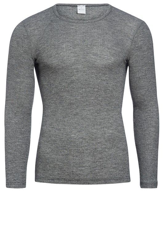 graues Langarmshirt aus bio Baumwolle (kbA), bio Wolle (kbT) und Seide mit Rundhalsausschnitt, Freisteller von vorne Herren