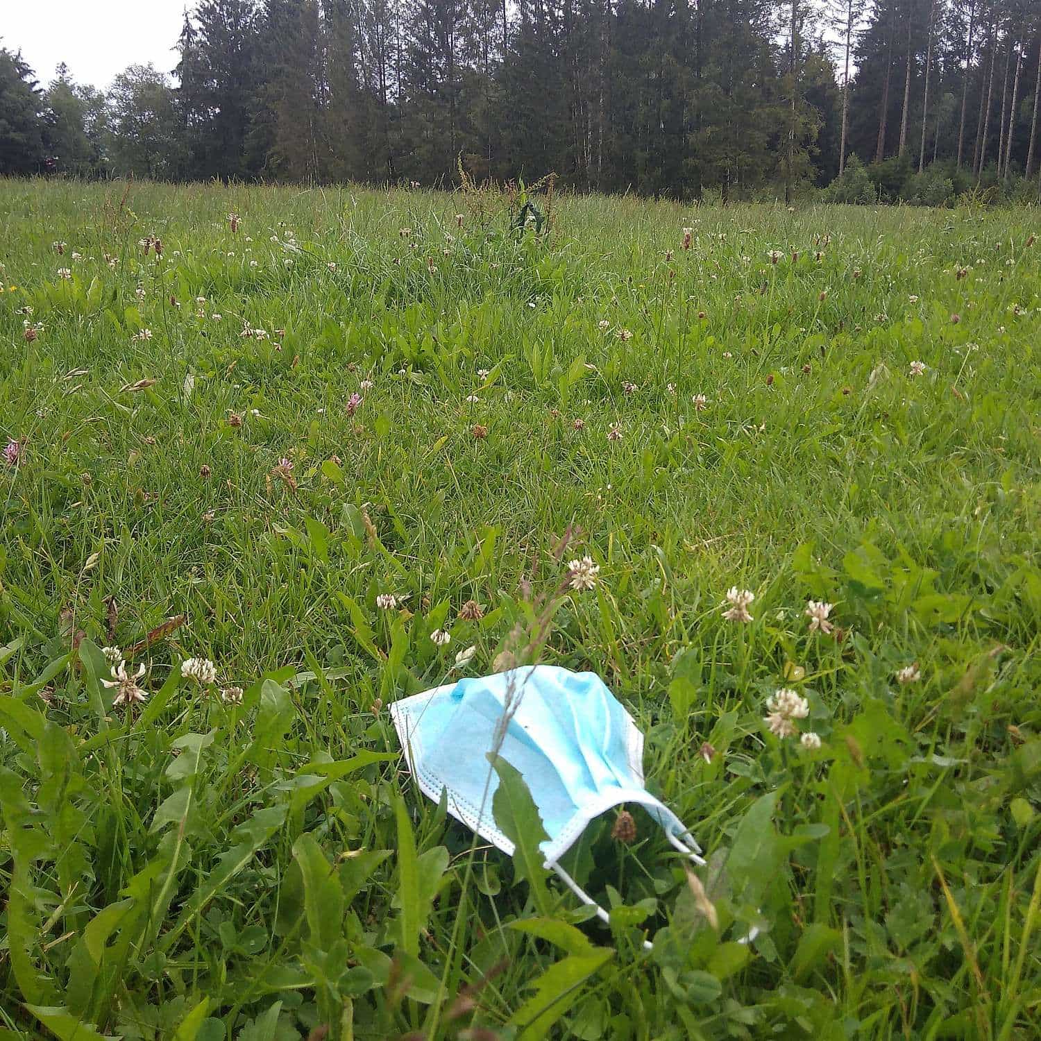 Corona Maske liegt im Gras