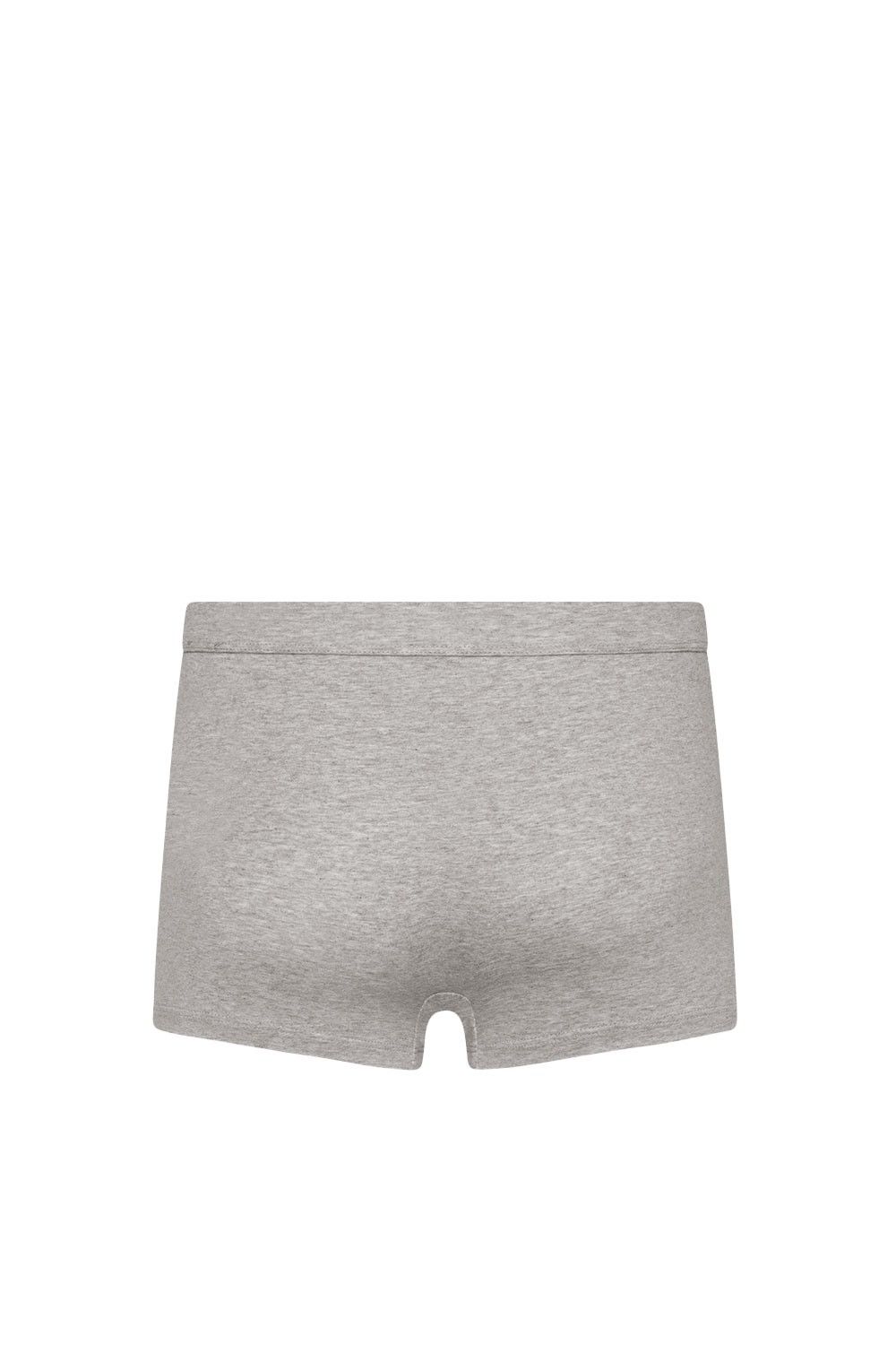 hellgraumelierte Herrenpants aus bio Baumwolle (kbA) und Elasthan, Freisteller von hinten