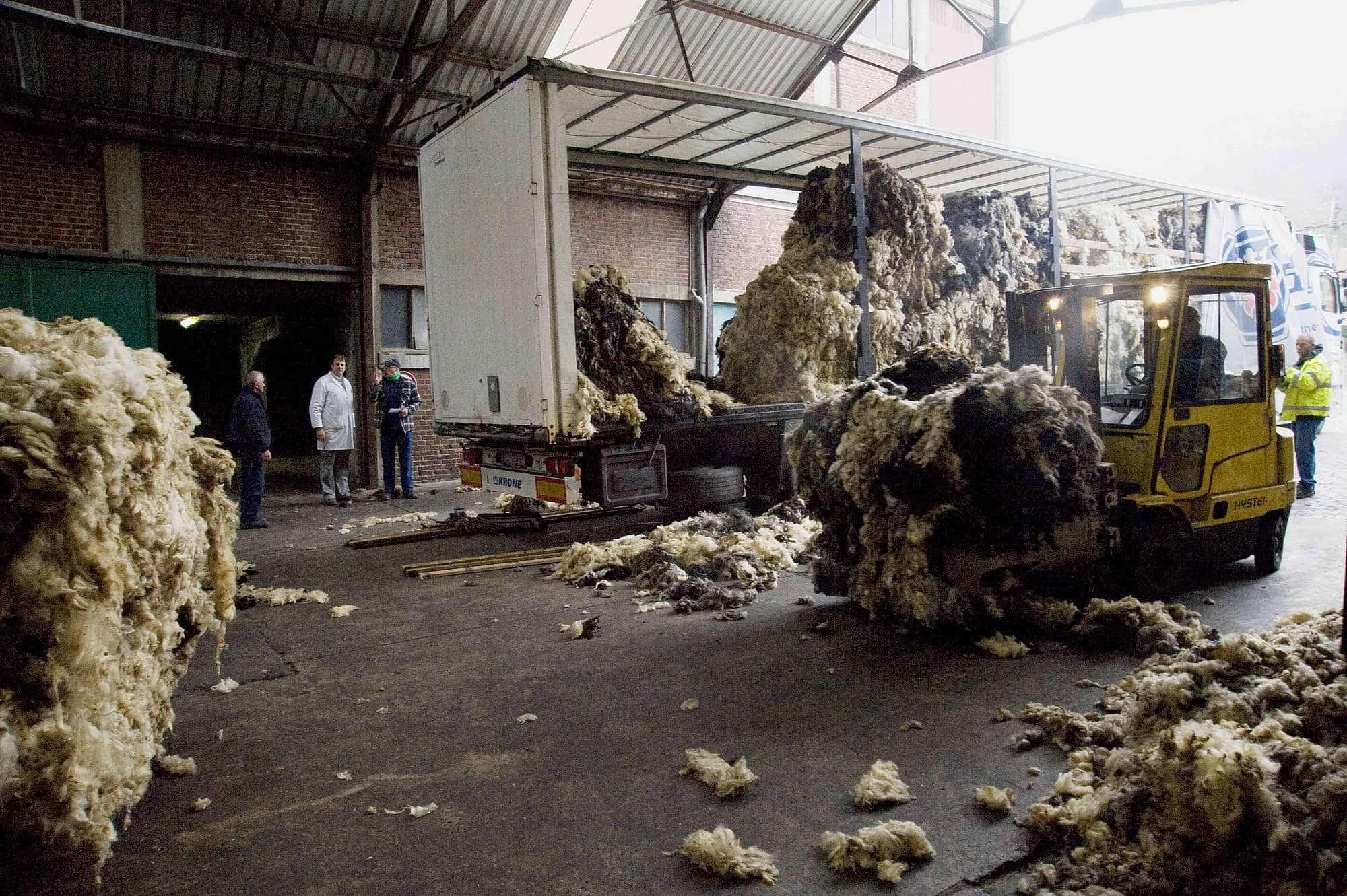 ueber-uns-unsere-wolle-anliefererung-web-109 Finkhof Wolle bei Anlieferung und Abladen mit LKW und Stappler