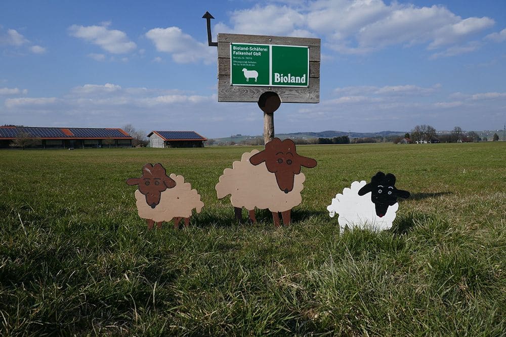Bioland Falkenhof Schild mit Holzschafen davor