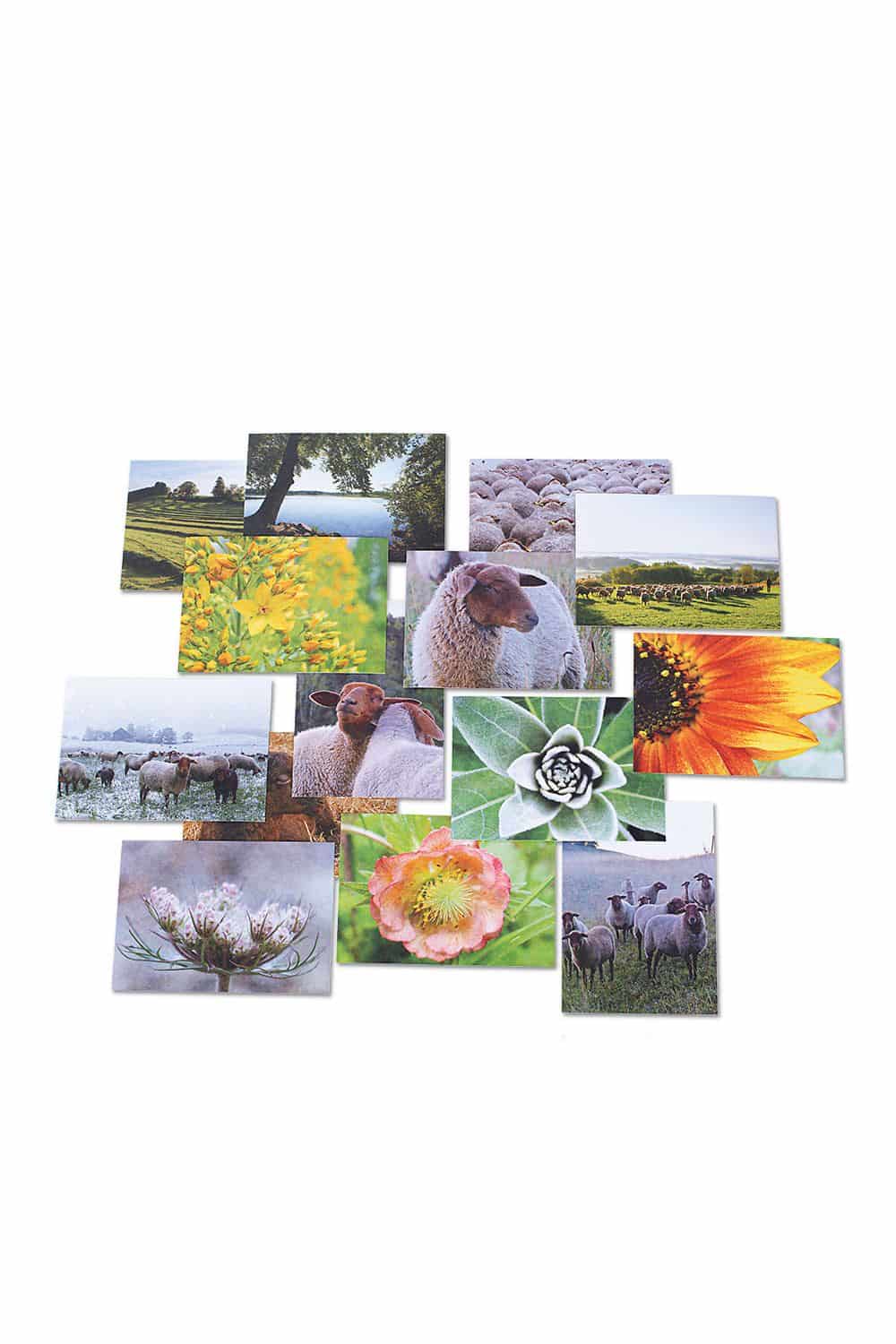 Finkhof Postkartenset Natur, gelegt