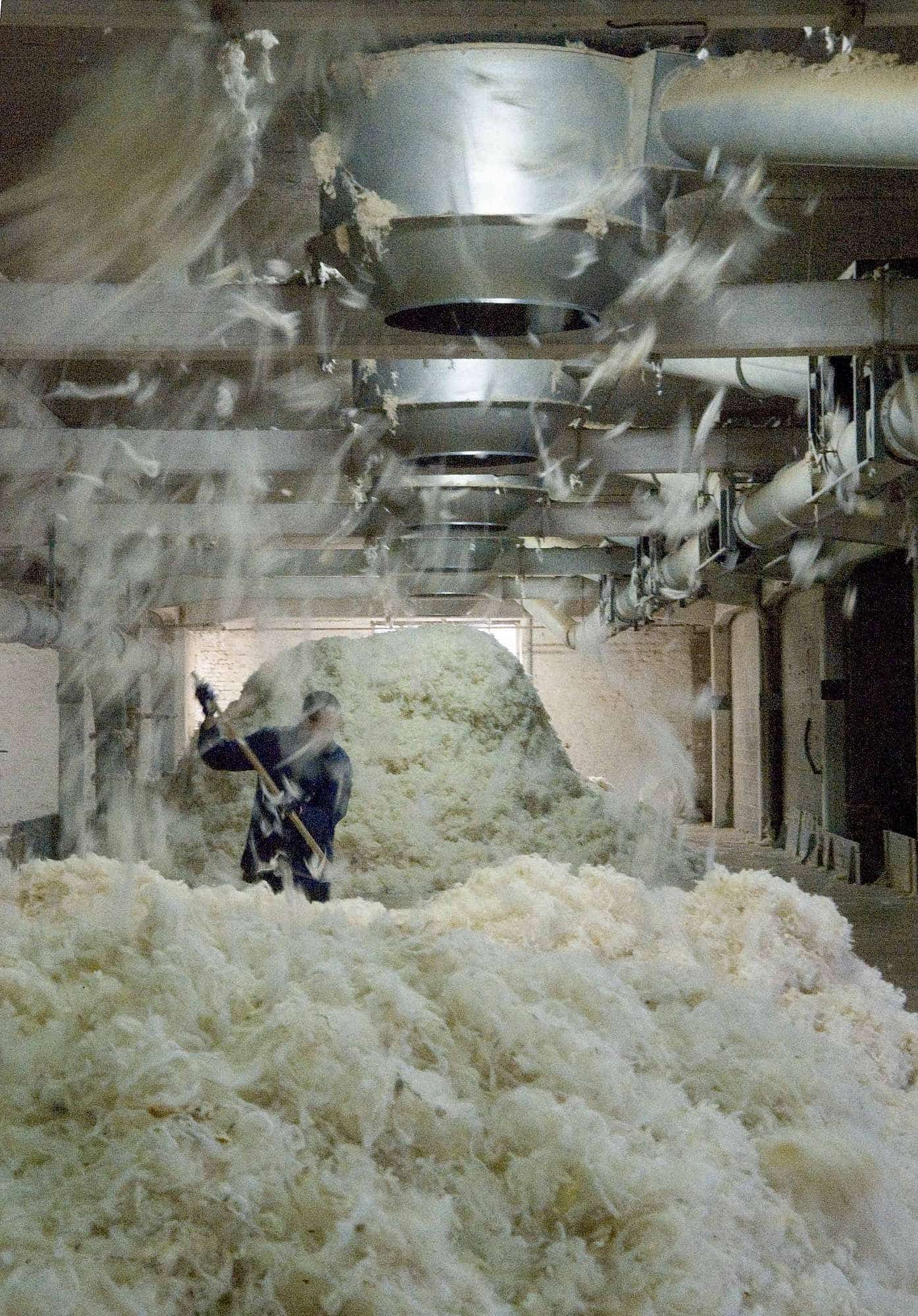 ueber-uns-unsere-wolle-wolltrocknung-web Finkhof Wolle in der Wolltrocknung