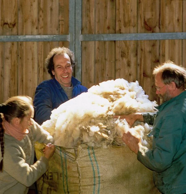 wolle-stopfen5cee281032235 drei Personen versuchen Wolle in einen Sack zu stopfen, Finkhof