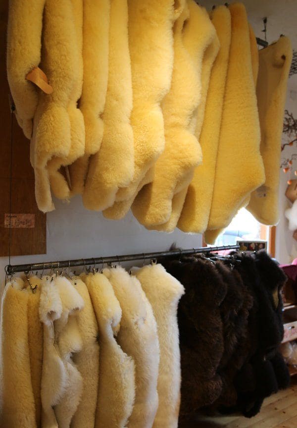 felle5cee512131cd1 aufgehängte Finkhof Felle im Hofladen