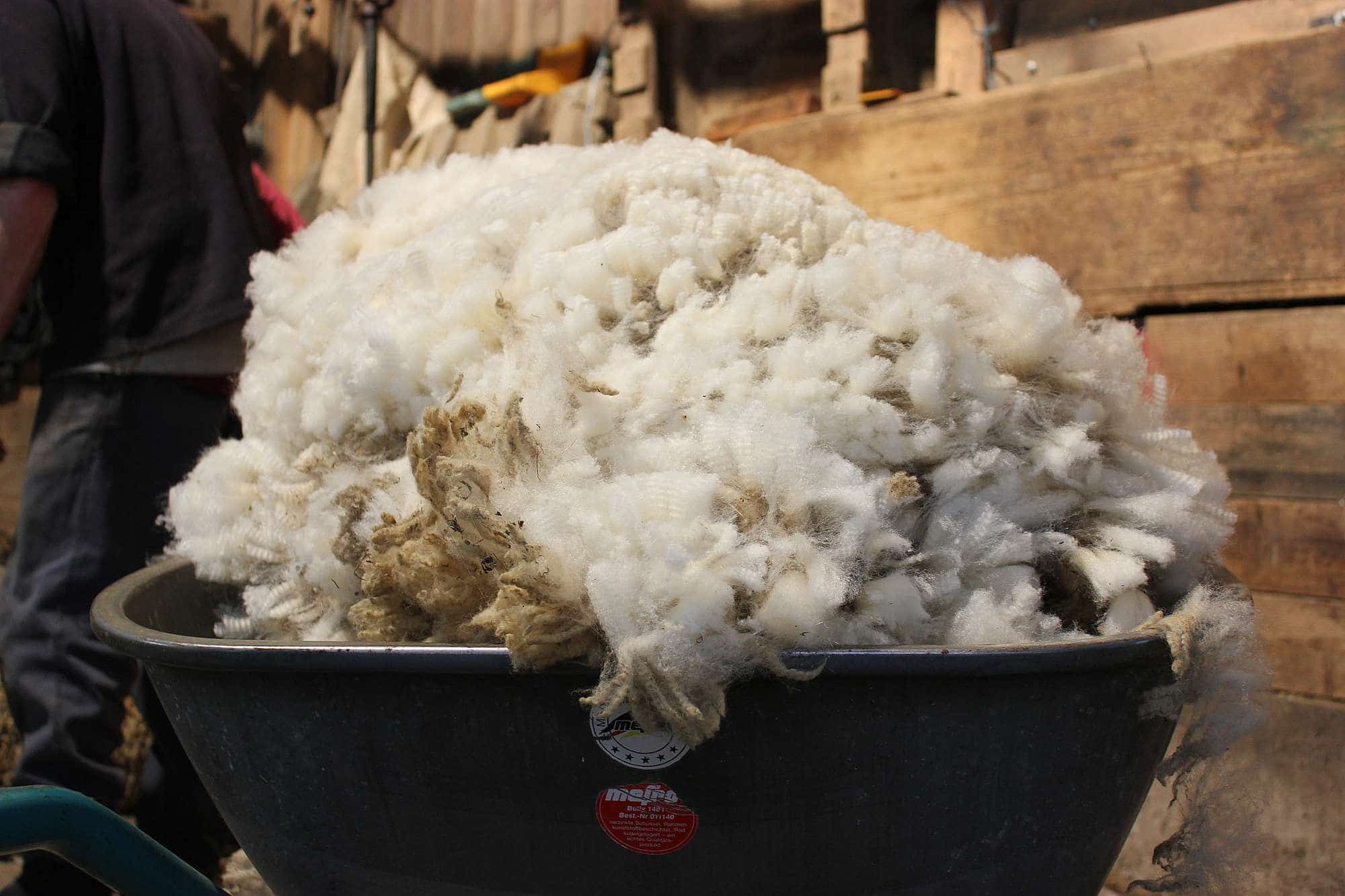 eigenschaften-der-schafwolle-qualit-t_1565 geschorene Schafwolle vom Finkhof in einer Schubkarre