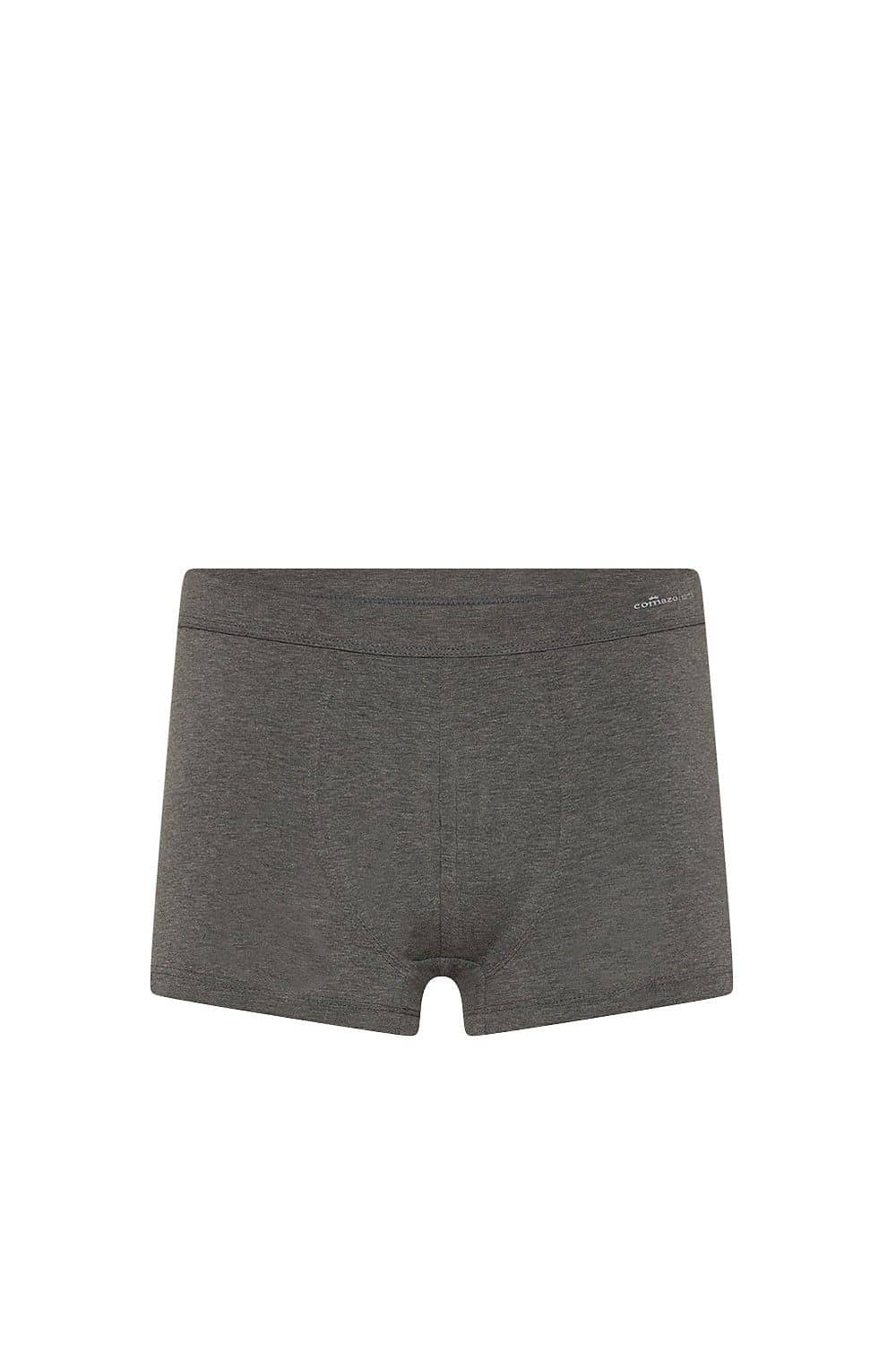 dunkelgraue Herrenpants aus bio Baumwolle (kbA) und Elasthan, Freisteller von vorne