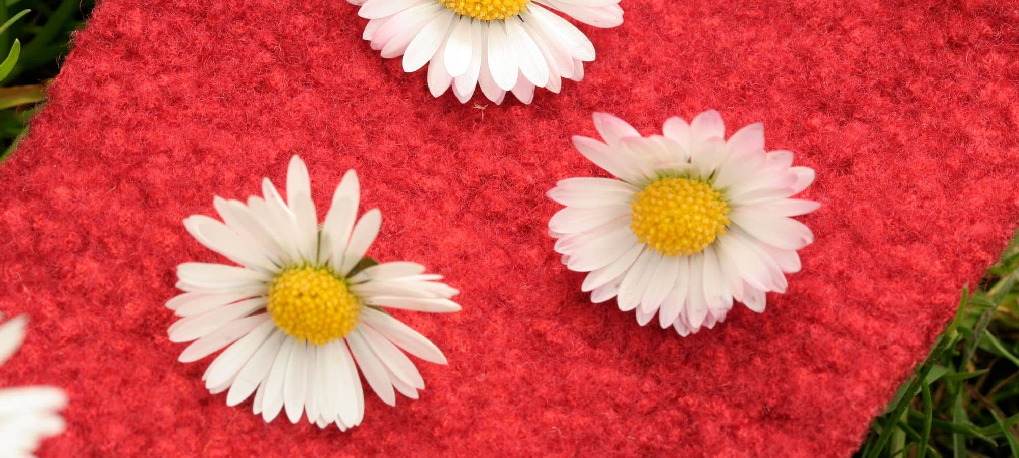 Finkhof Banner Kosmetik mit rotem Filzstoff und Gänseblümchen