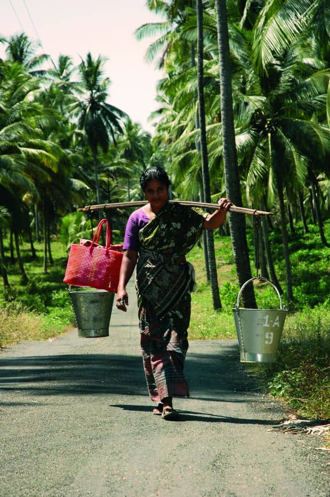 rubber_transport Frau transportiert mit einem Stock über ihren Schultern mehrere Eimer Naturkautschuk
