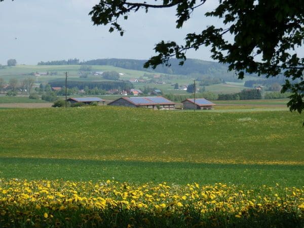stall-acker Stall mit grünen Wiesen im Vordergrund, Finkhof
