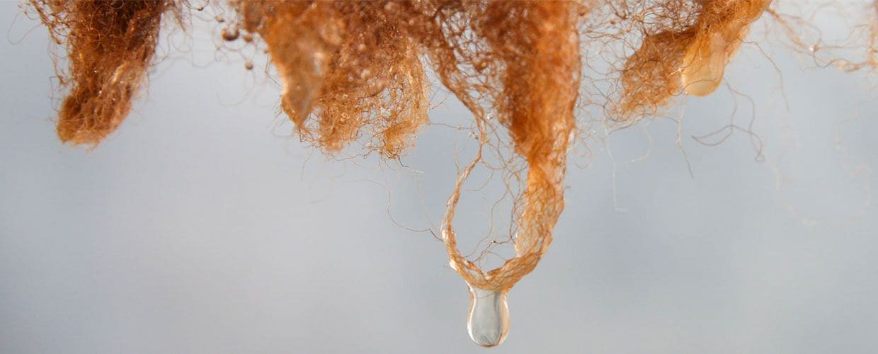 Finkhof Headerbild mit nasser brauner Wolle