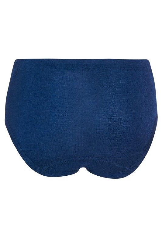 dunkelblauer Slip aus bio Wolle (kbT) und Seide, Freisteller von hinten