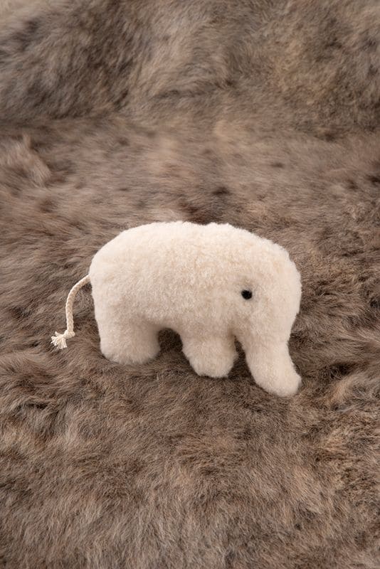 Rasselelefant weißer Rasselelefant auf braunem Fell