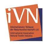 iVN Logo