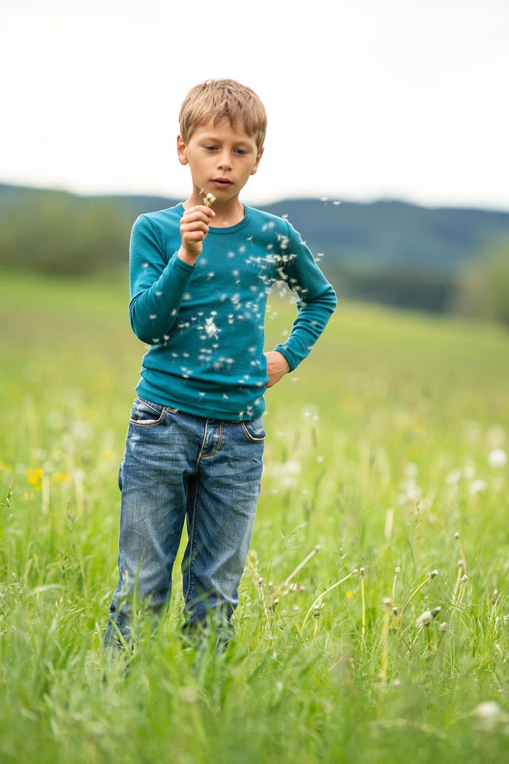 Junge steht auf Wiese, spielt mit Pusteblumen und trägt türkises Wolle Seide Langarmshirt aus bio Wolle (kbT)