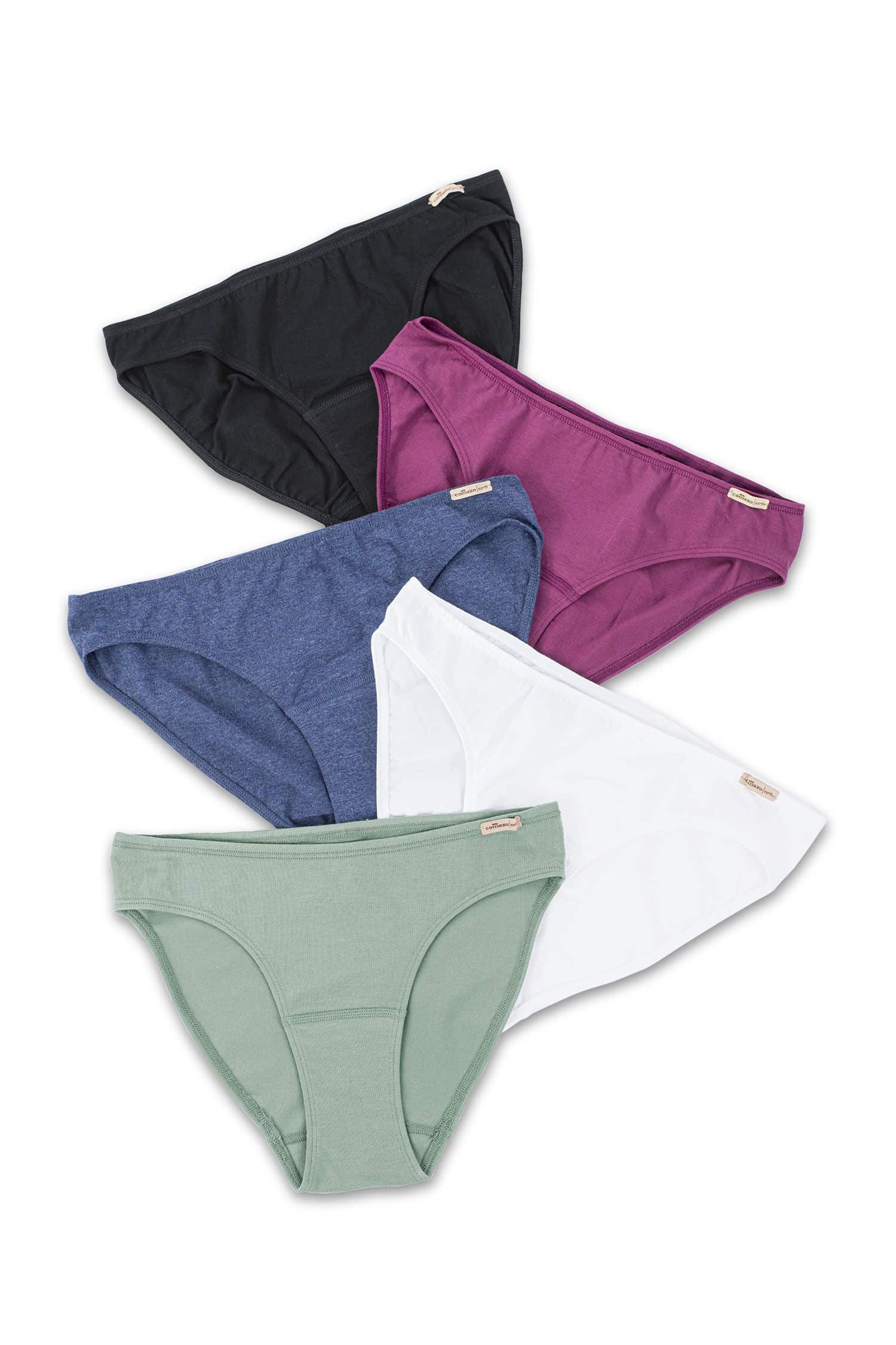 Baumwoll-Damen-Slip unifarbige Damenslips in verschiedenen Farben aus bio Wolle (kbT) und Elasthan auf weißem Untergrund