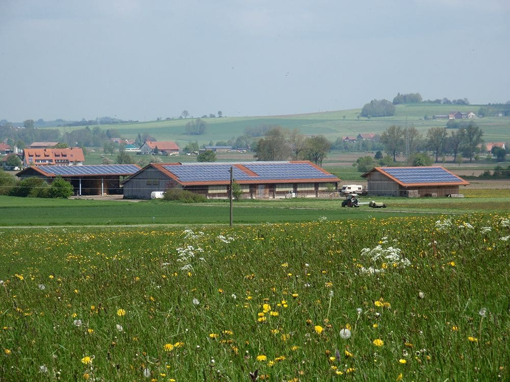 Stall mit Photovoltailk und Wiese im Vordergrund